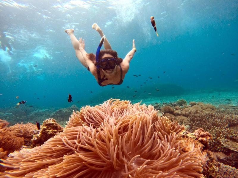 3 Points Snorkeling and Island Tour Start From Bali